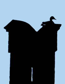 ���� �� ����������� �����